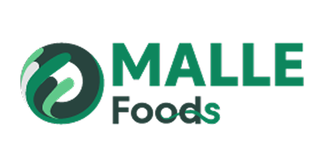Logo Header